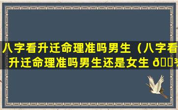 八字看升迁命理准吗男生（八字看升迁命理准吗男生还是女生 🌾 ）